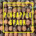 Pineapple Spark logo